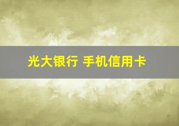 光大银行 手机信用卡